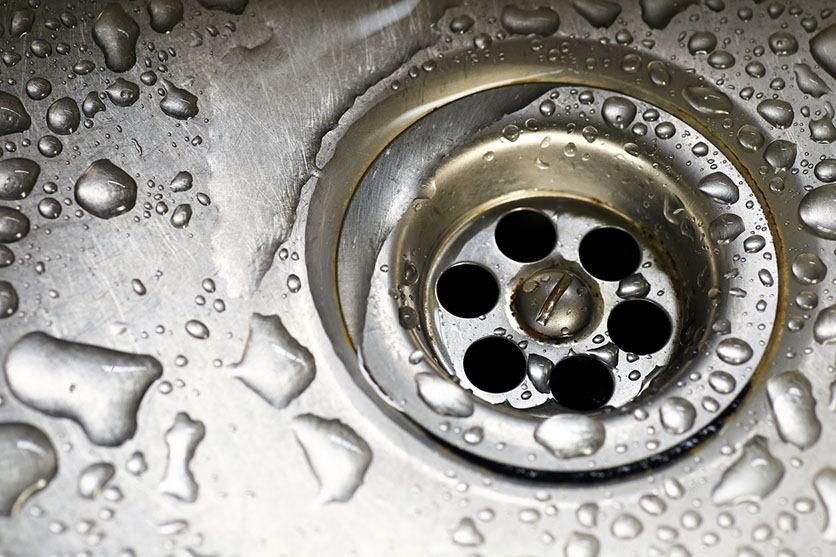 Sink Drain