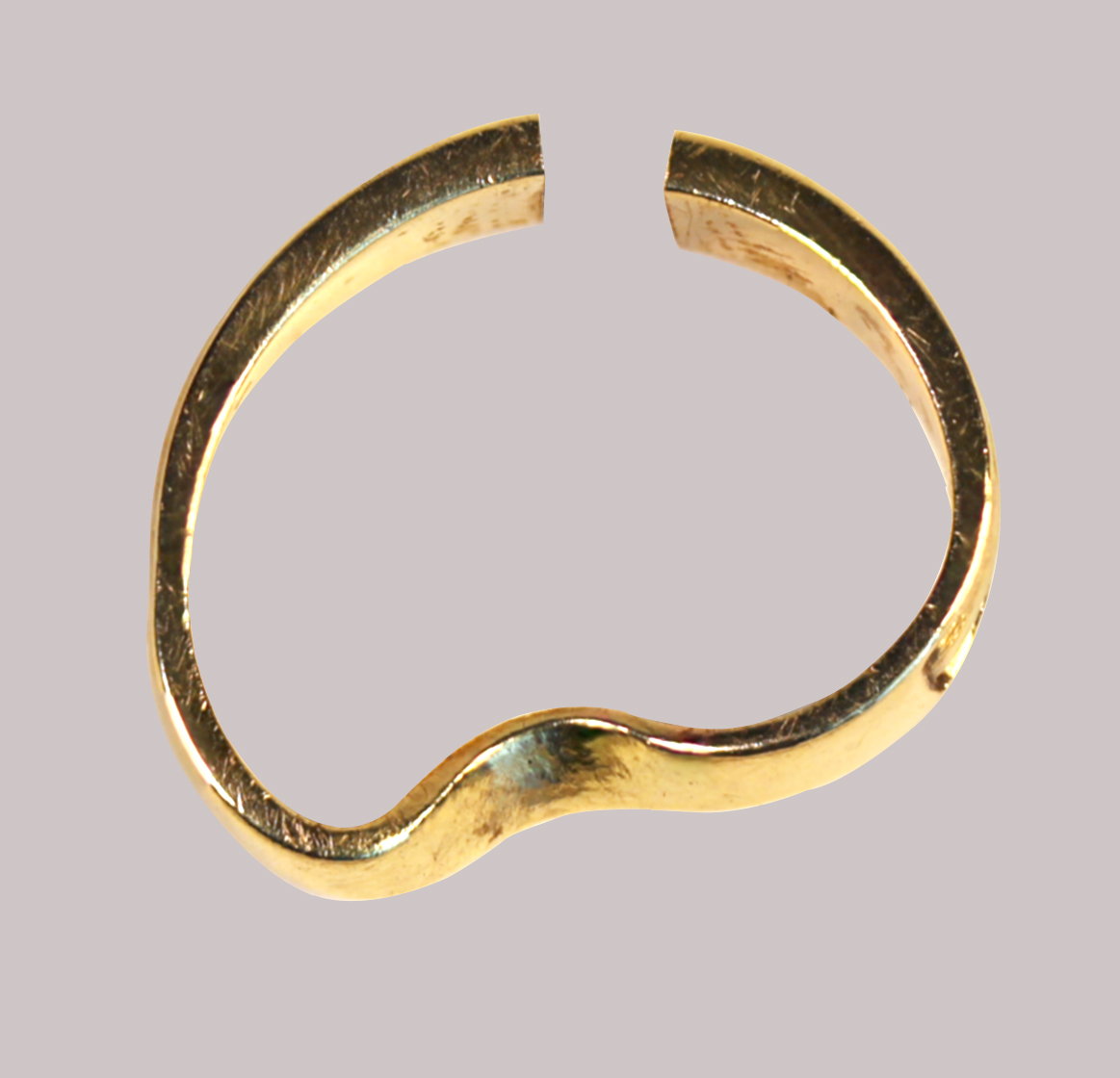 Rick Tipton Wedding Band